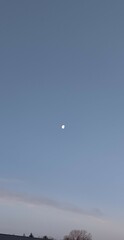GOODNIGHT MOON