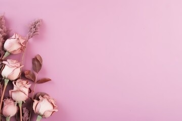Fototapeta na wymiar Dried Roses and Gypsophila on Pink