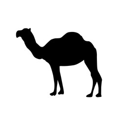 Camel Silhouette Vector