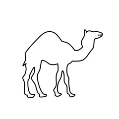 Camel Hand drawn illustration.