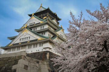 the peoples celebrate Hanami festival with full cherry blossom around Osaka castle River view and bridge blue sky ,Osaka Japan  