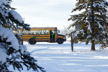 School bus is picking up a student from the remote location in winter.