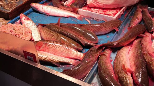 Fresh chinese fish on a market stall