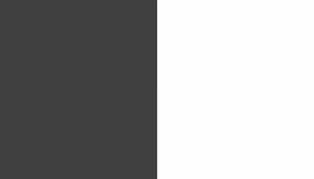 Dark Gray Grey Charcoal White Solid Color Split Fifty Fifty 50/50 Banner Background Wall Paper