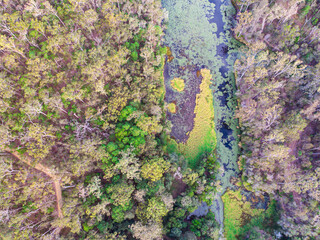 drone aerial panorama of enoggera reservoir and enogerra dam in brisbane, queensland, australia