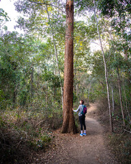 pretty girl with a backpack enjoys afternoon walk at enoggera reservoir in brisbane, queensland, australia; warm sunset in a park	