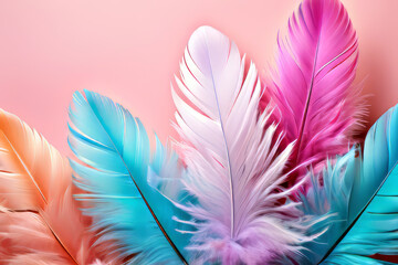 pink and white feathers background