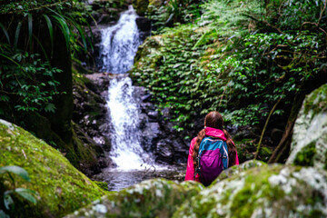 relaxed hiker girl sitting in front of a tropical waterfall; toolona creek circuit in green...