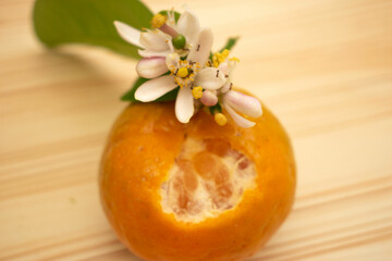 food, fruit, orange, fresh, persimmon, healthy, ripe, sweet, closeup, vegetarian, dessert, nature, diet, organic, wood, tomato, vitamin, juicy, decoration, citrus, green, vegetable, leaf, natural, hea
