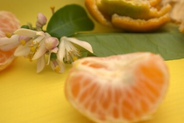 food, fruit, orange, fresh, persimmon, healthy, ripe, sweet, closeup, vegetarian, dessert, nature, diet, organic, wood, tomato, vitamin, juicy, decoration, citrus, green, vegetable, leaf, natural, hea