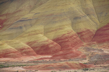 Striated red and brown paleosols in the Painted Hills