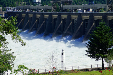 Water spills through the turbines of the  Bonneville Dam