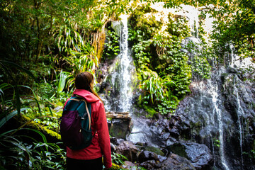 relaxed hiker girl sitting in front of a tropical waterfall; toolona creek circuit in green mountains section of lamington national park, queensland, australia - obrazy, fototapety, plakaty