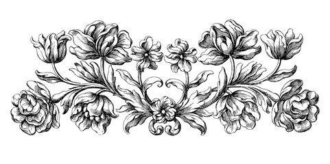 Flower divider illustration. Transparent background.