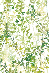 背景素材_水彩_植物