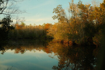 autumn trees reflected in water