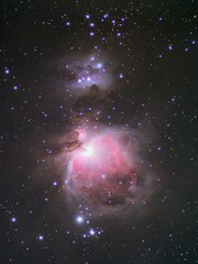 オリオン大星雲