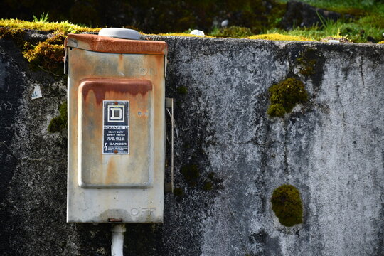 Square D heavy duty safety switch. Mossy concrete surroundings.