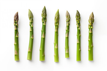 On a white background, fresh asparagus sprouts are isolated. AI generation.