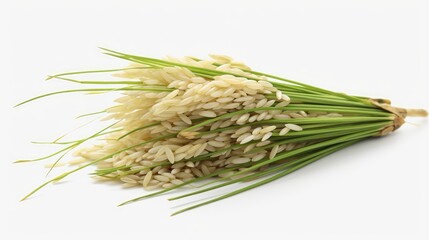 Photo of paddy rice isolated on white background.