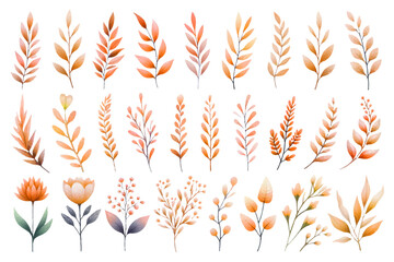 Watercolor illustration material set of orange botanical motifs