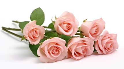 Naklejka premium Photo of pink roses on a white background.