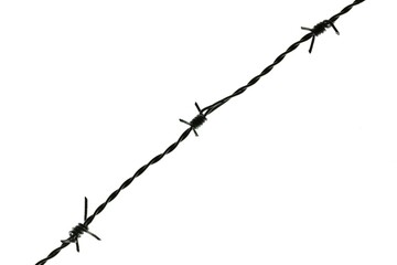 Barbed waive on a white background 