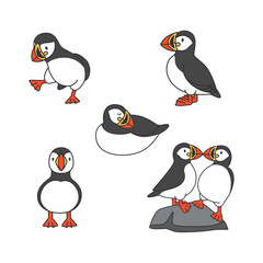 Puffin vector illustration. Set of cute cartoon penguins.