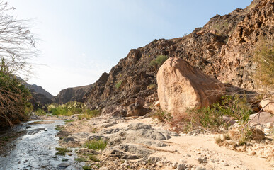 Shallow mountain river flows between banks overgrown with greenery in gorge Wadi Al Ghuwayr or An Nakhil and wadi Al Dathneh near Amman in Jordan