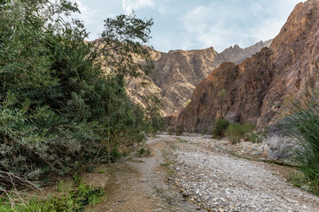 Natural bends of a mountain river in the gorge Wadi Al Ghuwayr or An Nakhil and the wadi Al Dathneh near Amman in Jordan