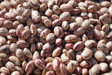 Closeup of red soy beans texture background.