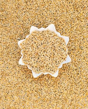 Barley cereal grain seeds dried raw food whole dry grains jau closeup photo