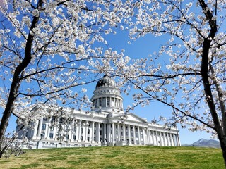 State capitol building, spring  © Lena