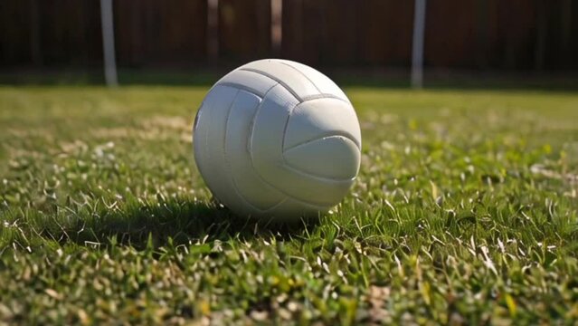 volleyball on grass