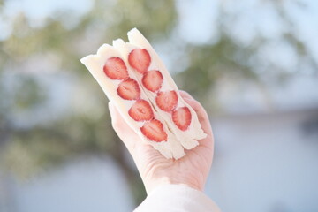 Japanese Strawberry Fruit Sandwich or Fruit Sando 草莓
