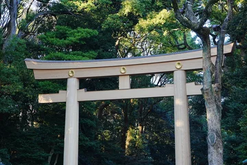 Fotobehang Torii Gate of Meiji Jingu in Japan - 日本 東京 明治神宮 鳥居 © Eric Akashi