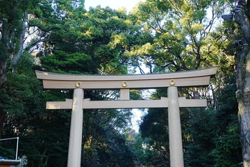 Tuinposter Torii Gate of Meiji Jingu in Japan - 日本 東京 明治神宮 鳥居 © Eric Akashi