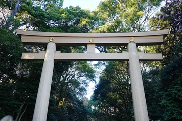Tuinposter Torii Gate of Meiji Jingu in Japan - 日本 東京 明治神宮 鳥居 © Eric Akashi