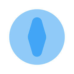 compass Flat icon