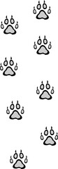 Cat And Dog Paw 