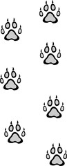 Cat And Dog Paw 