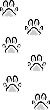 Cat And Dog Paw 