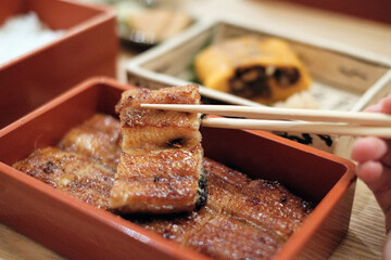 Grilled Eel Rice Bowl うなどん 鰻魚飯 Japan Japanese style food 