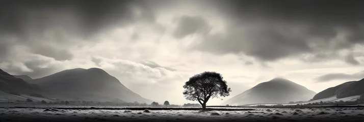 Deurstickers Timeless Serenity: A Lone Tree in a Boundless Countryside Under a Cloudy Sky in Black and White © Jose