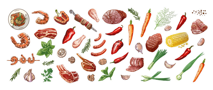 Set of hand-drawn colored sketches of barbecue and picnic elements, meat. For the design of the menu, grilled food. Doodle vintage illustration. Engraved image.