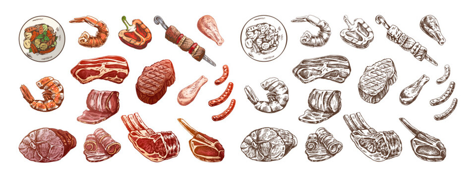 Set of hand-drawn colored and monochrome sketches of different types of meat, steaks, shrimp, chicken, grilled vegetables, barbecue. Doodle vintage illustration. Engraved image..