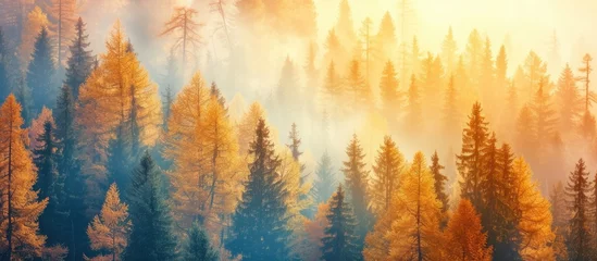 Fotobehang The image showcases a dense forest filled with towering trees, reaching high into the sky. The scene is alive with vibrant fall colors, featuring golden and yellow hues in abundance. © TheWaterMeloonProjec