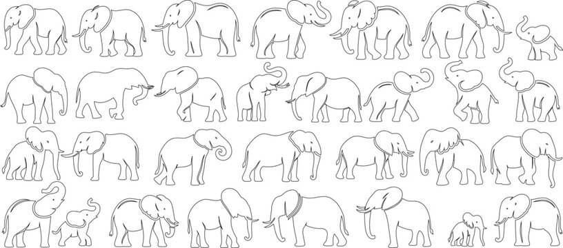 Elephant line art vector set, intricate design of elephants, Beautifully drawn elephant in various poses, artistic simplicity, potential design applications