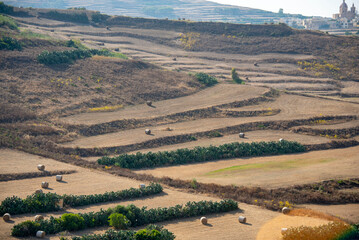 Agricultural Fields on Gozo Island - Malta