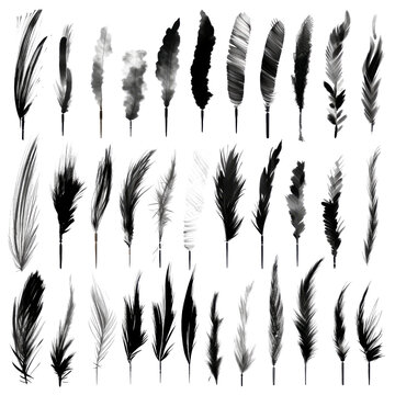 Brush strokes collection with transparent background